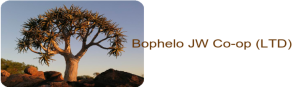 Bophelo