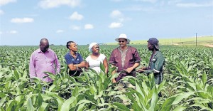 Agriprenuers